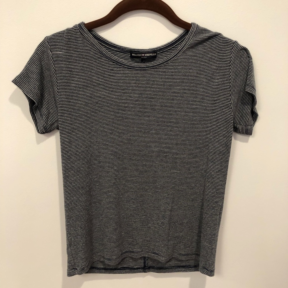 Brandy Melville Crop Top